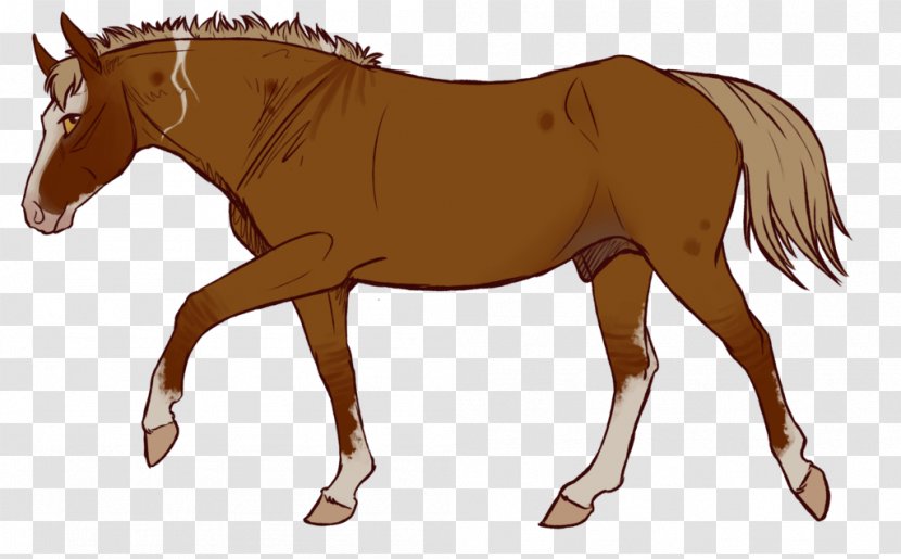 Mule Horse Stallion Foal Mare - Sorrel - Static Shock Transparent PNG