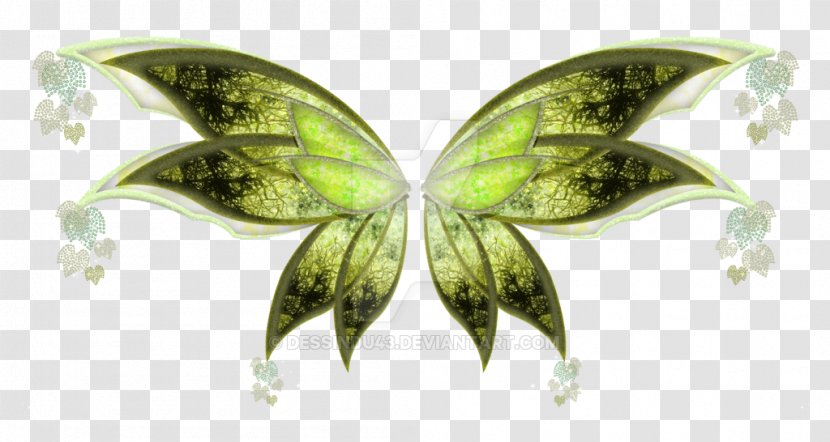 Moth Leaf - Plant Transparent PNG