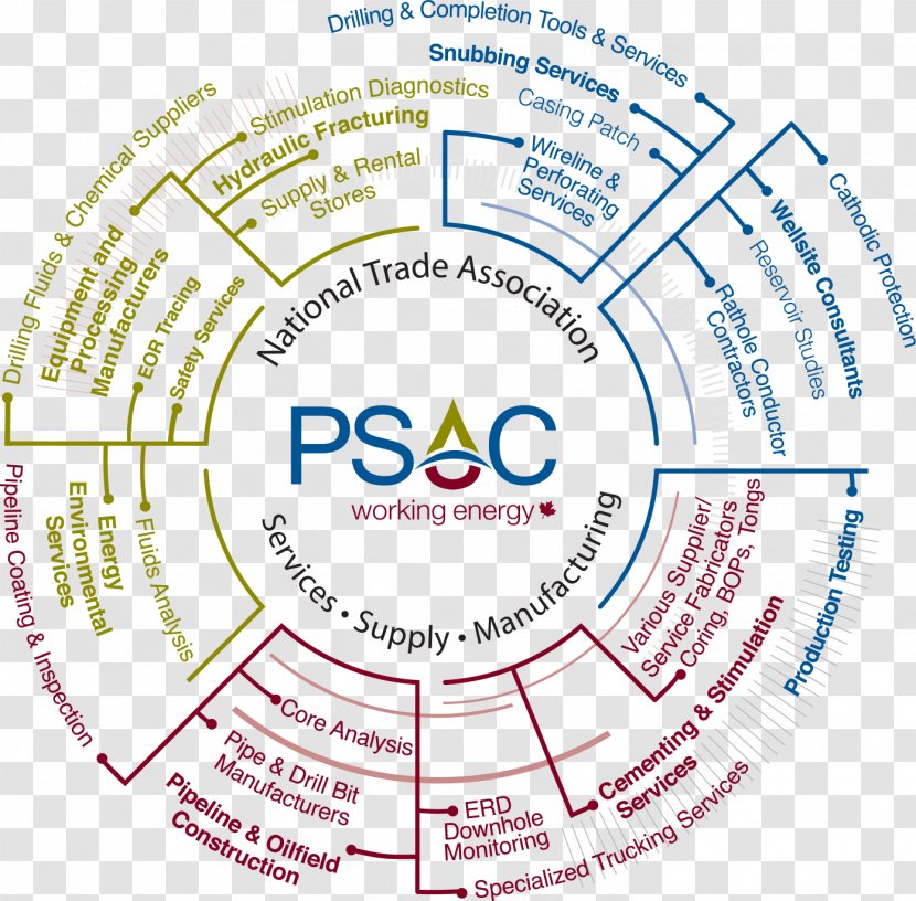 Organization Pennsylvania State Athletic Conference Brand Font Point - Board Of Directors Chart Starbucks Transparent PNG