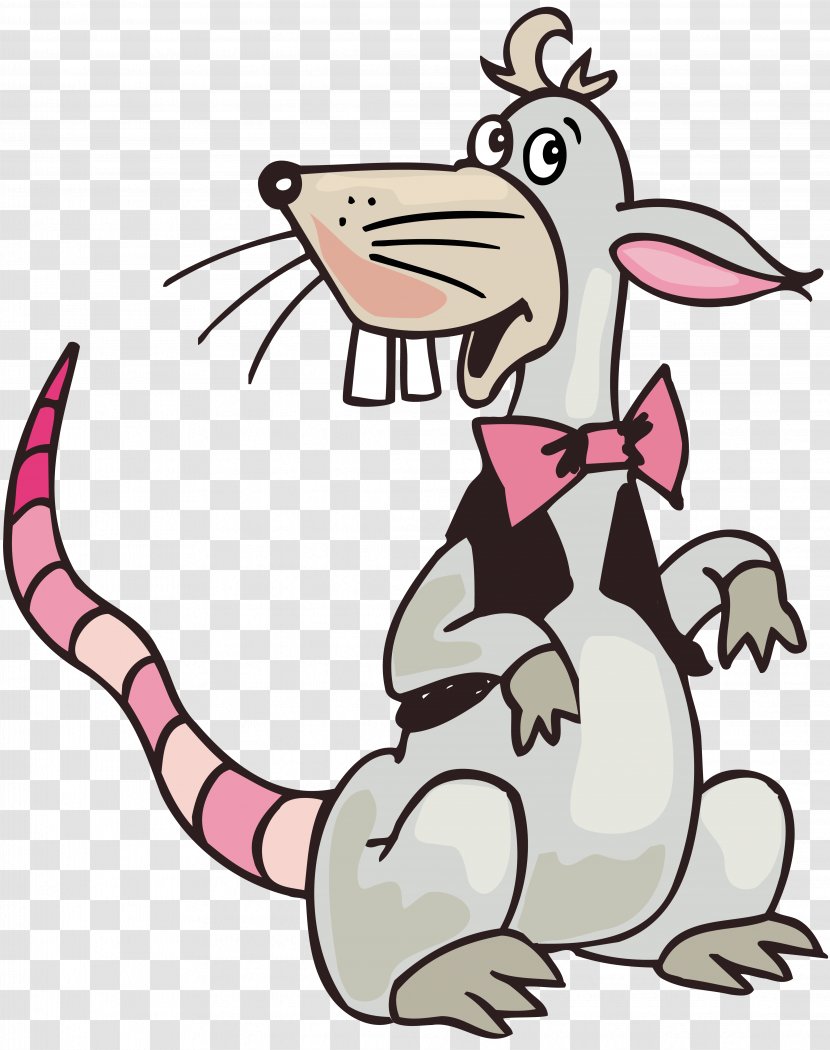 Rat Drawing Clip Art - Organism Transparent PNG