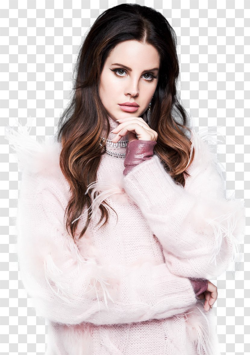 Lana Del Rey Desktop Wallpaper - Flower - Frame Transparent PNG