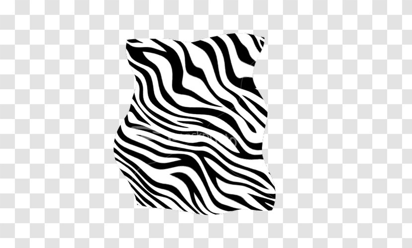 Zebra Cat Wildlife Line Font - Big Transparent PNG