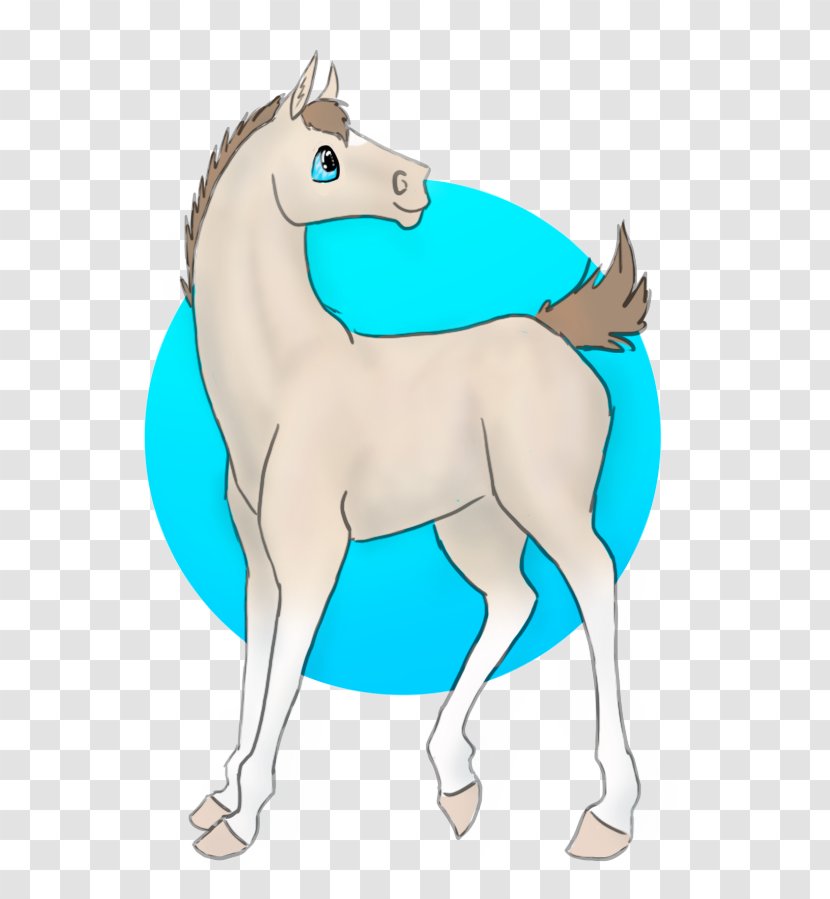 Mane Foal Mustang Stallion Colt - Livestock - Bad Habit Transparent PNG
