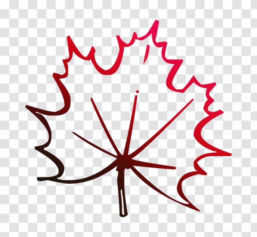 Maple Leaf Clip Art Line Point - Plant Transparent PNG