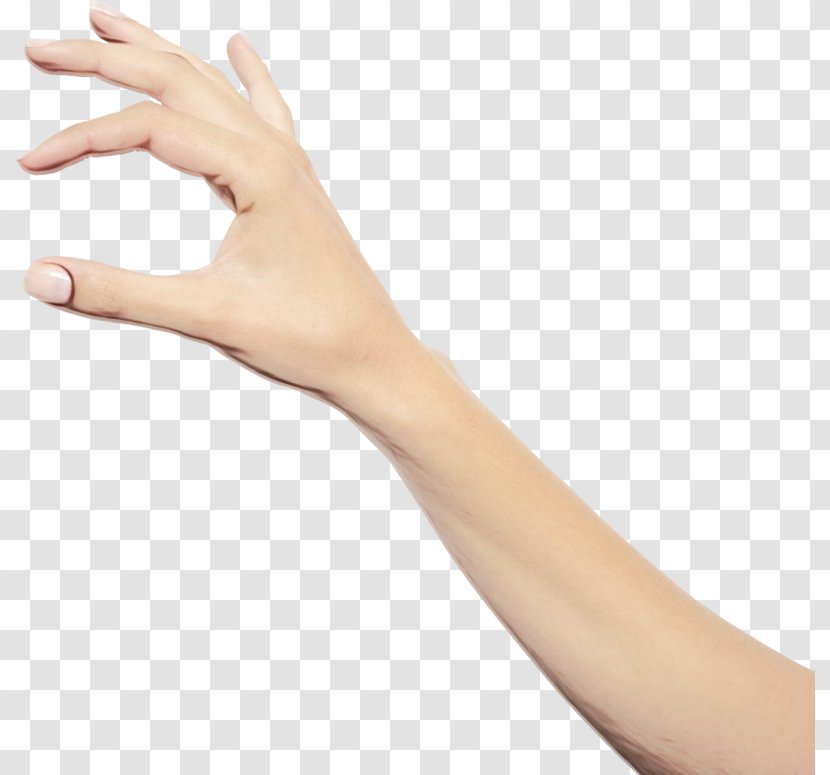 Finger Hand Arm Skin Joint - Leg Gesture Transparent PNG
