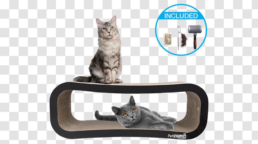 Domestic Short-haired Cat & Dog Flaps Pet - Short Haired - Cardboard Scratcher Transparent PNG