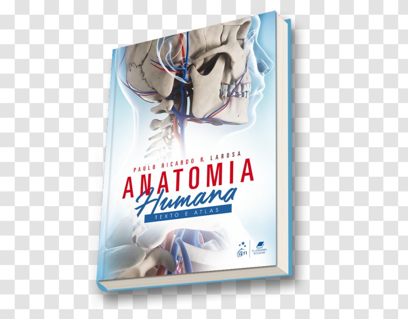 Anatomia Humana - Brand - Texto E Atlas PRINCIPIOS DE ANATOMIA HUMANA: ATLAS TEXTO Of Human Anatomy Fisiologia PraticaBook Transparent PNG