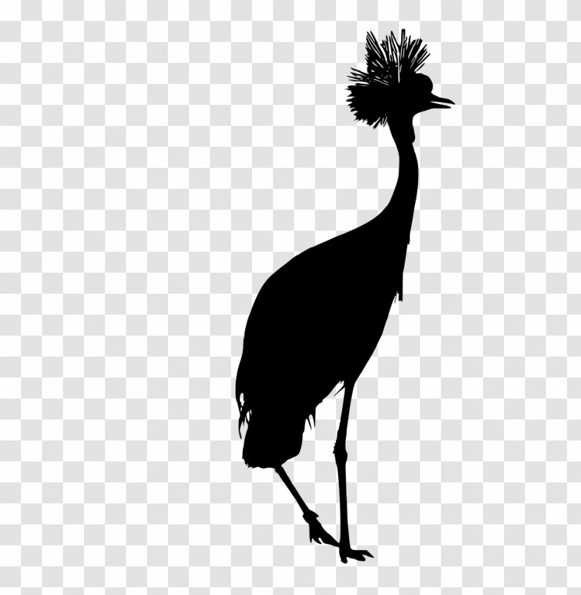 Bird Beak Flightless Crane-like Emu - Silhouette Wildlife Transparent PNG