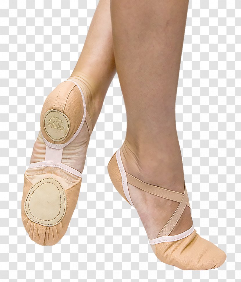 Dance Slipper Clothing Footwear Ballet Flat - Outdoor Shoe Transparent PNG