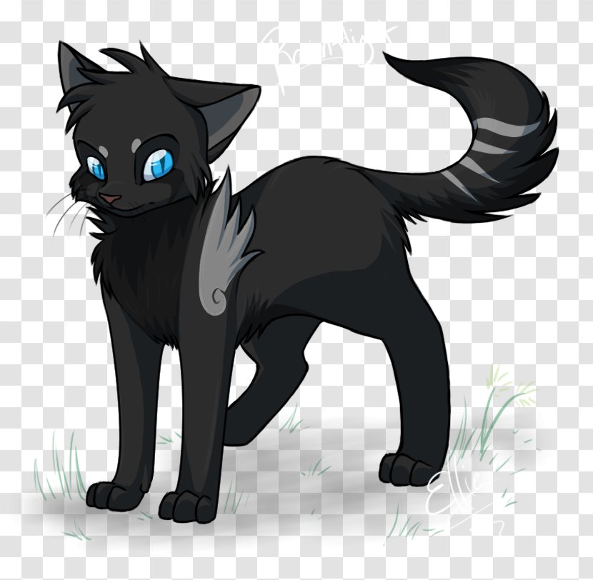 Black Cat Kitten Whiskers Domestic Short-haired - Nightstar Transparent PNG