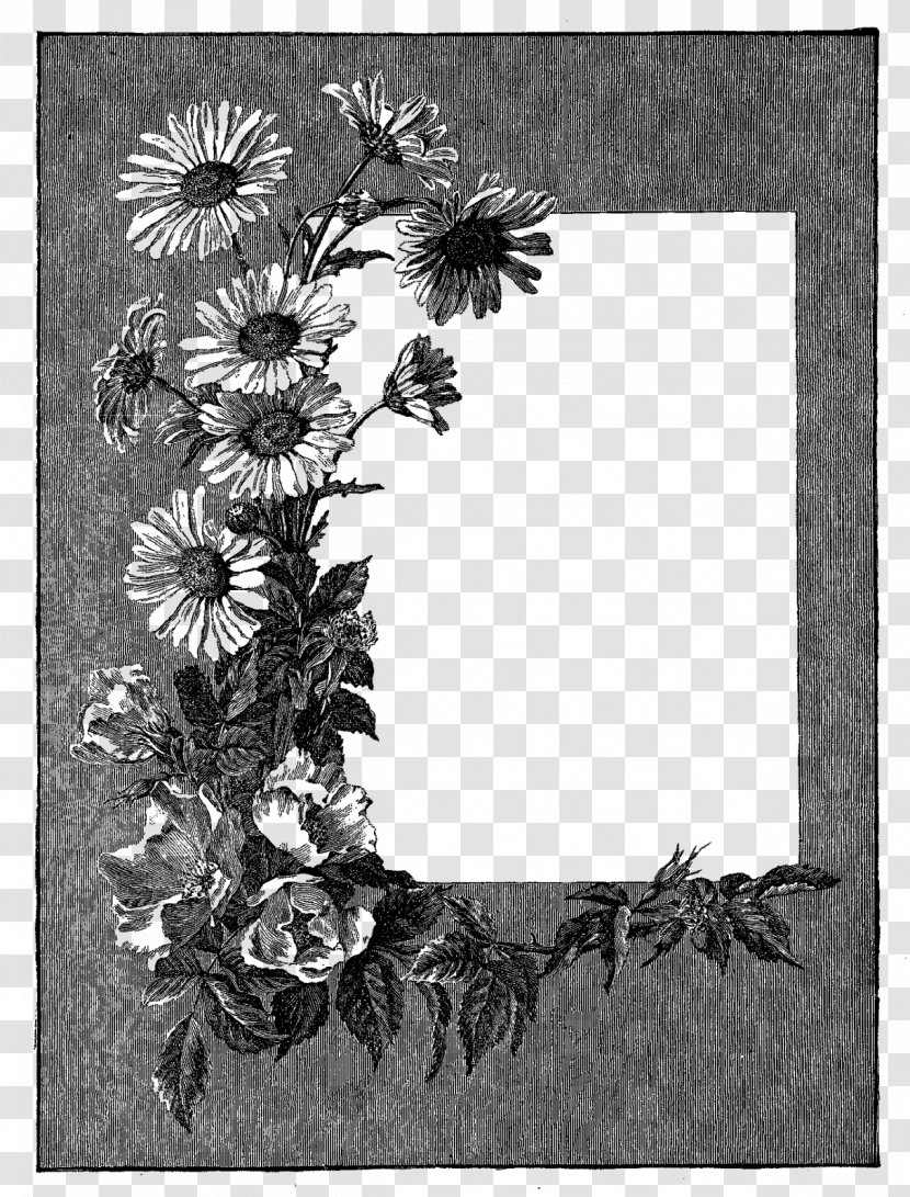 Picture Frame Clip Art - Petal - Gray Flower Photos Transparent PNG