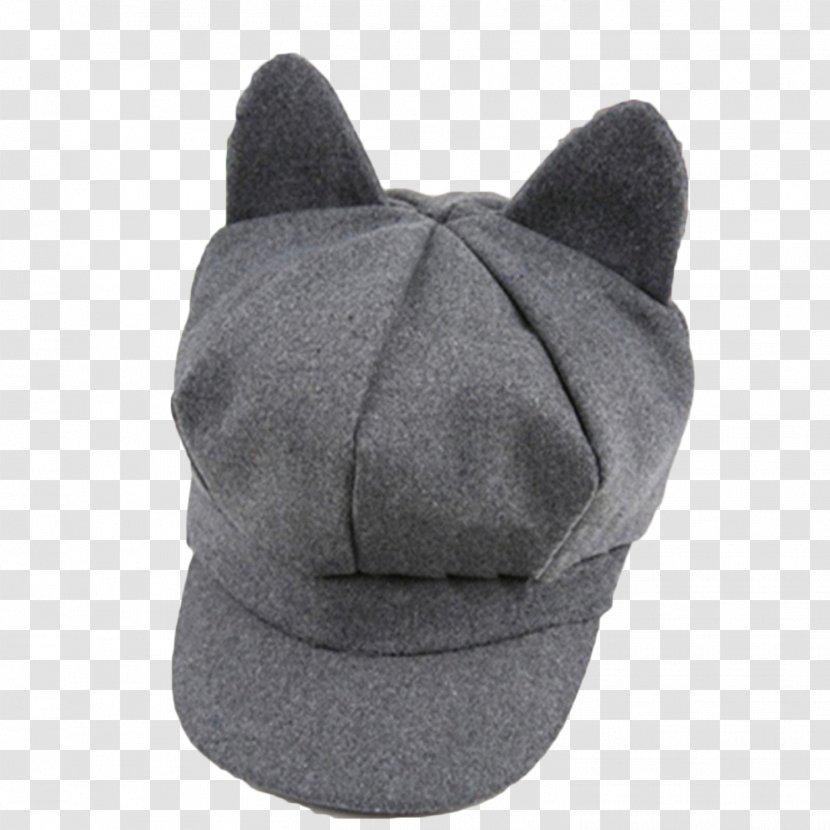The Cat In Hat Baseball Cap Flat Beret - Headgear - Tide Transparent PNG