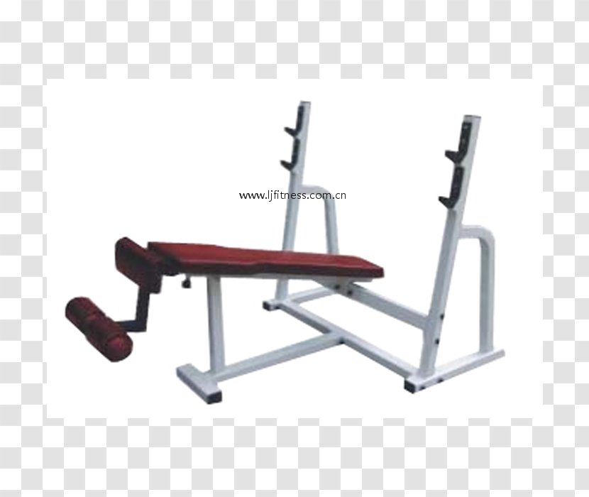 Bench Press Fitness Centre Physical Weightlifting Machine - Watercolor - Three-dimensional Square Business Chin Transparent PNG