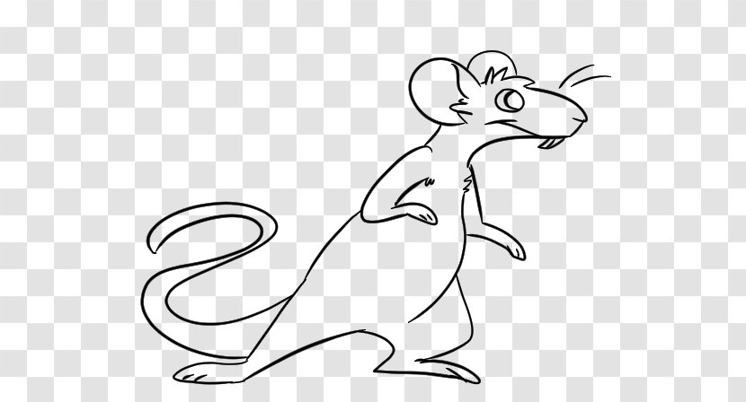 Whiskers Hare Rodent Drawing Clip Art - Organism - Fauna Transparent PNG