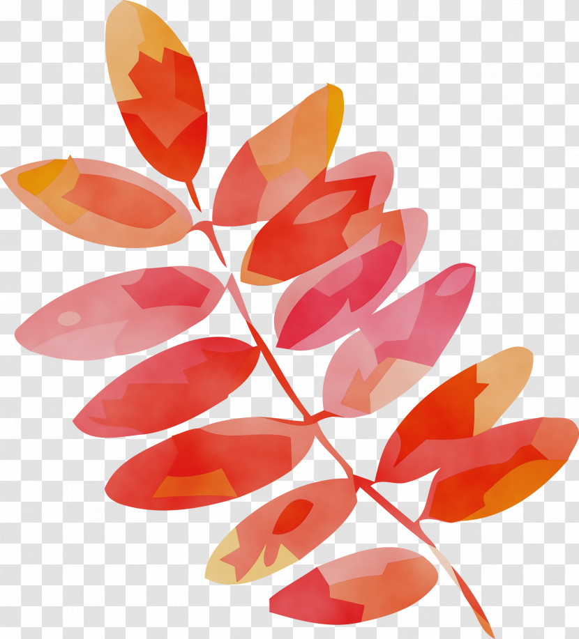 Leaf Petal Science Plant Structure Biology Transparent PNG