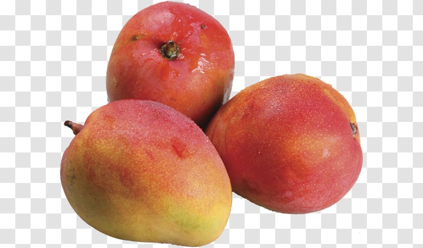 Mango Fruit Tommy Atkins Guava Food - Grape - Mangas Transparent PNG