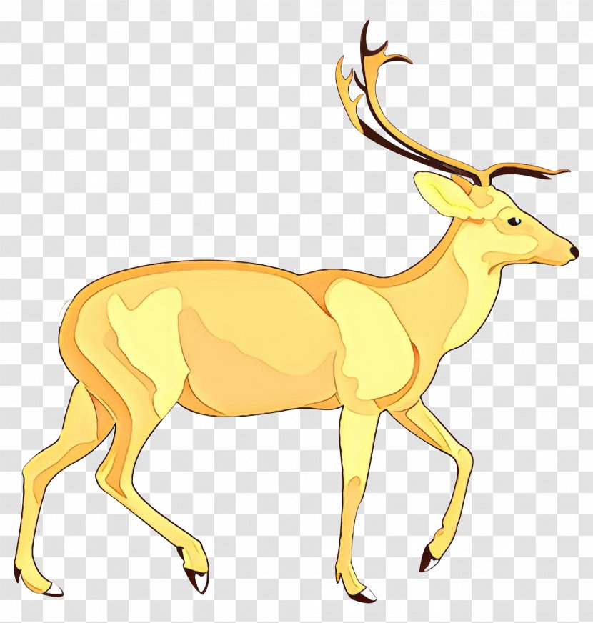 White-tailed Deer Clip Art Vector Graphics Pronghorn - Wildlife - Fawn Transparent PNG