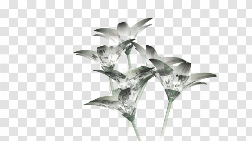 Cut Flowers Glass Petal Plant Stem - Tree Transparent PNG