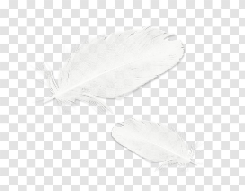 Unleash The Romance Black And White Paperback Feather - Material - Pattern Transparent PNG