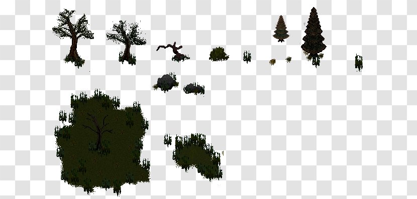 Tree Biome Font - Woody Plant Transparent PNG