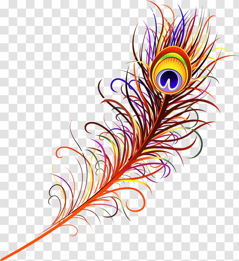 Feather - Fashion Accessory Transparent PNG