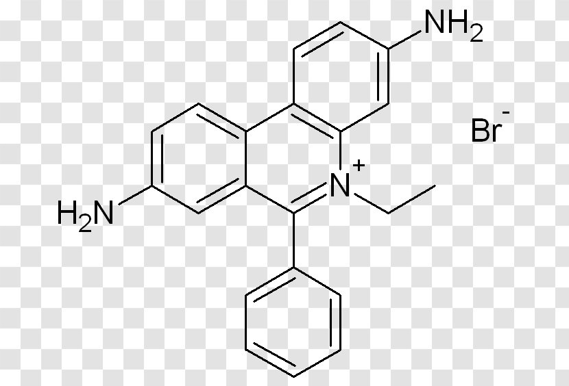 Safranin Ethidium Bromide Phenolphthalein Nucleic Acid Chemical Compound - Pharmaceutical Drug - Text Transparent PNG