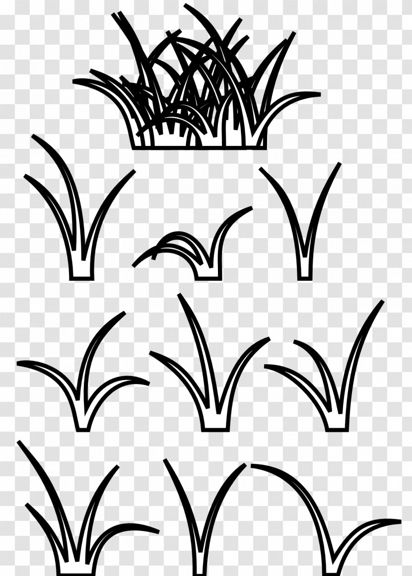 Black And White Clip Art - Plant Stem - Cartoon Grass Panda Clipart Transparent PNG