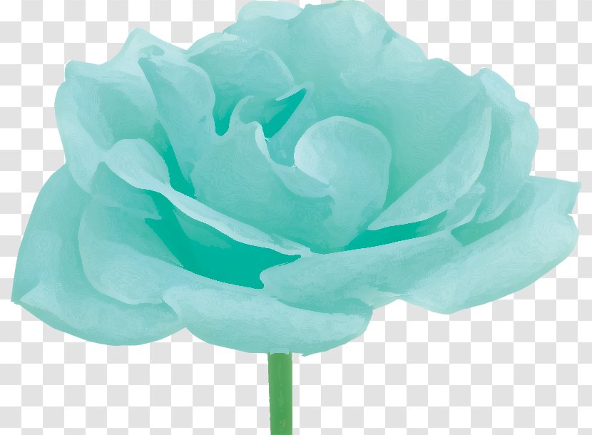 Garden Roses Cabbage Rose Petal Flower Pink - Turquoise Transparent PNG