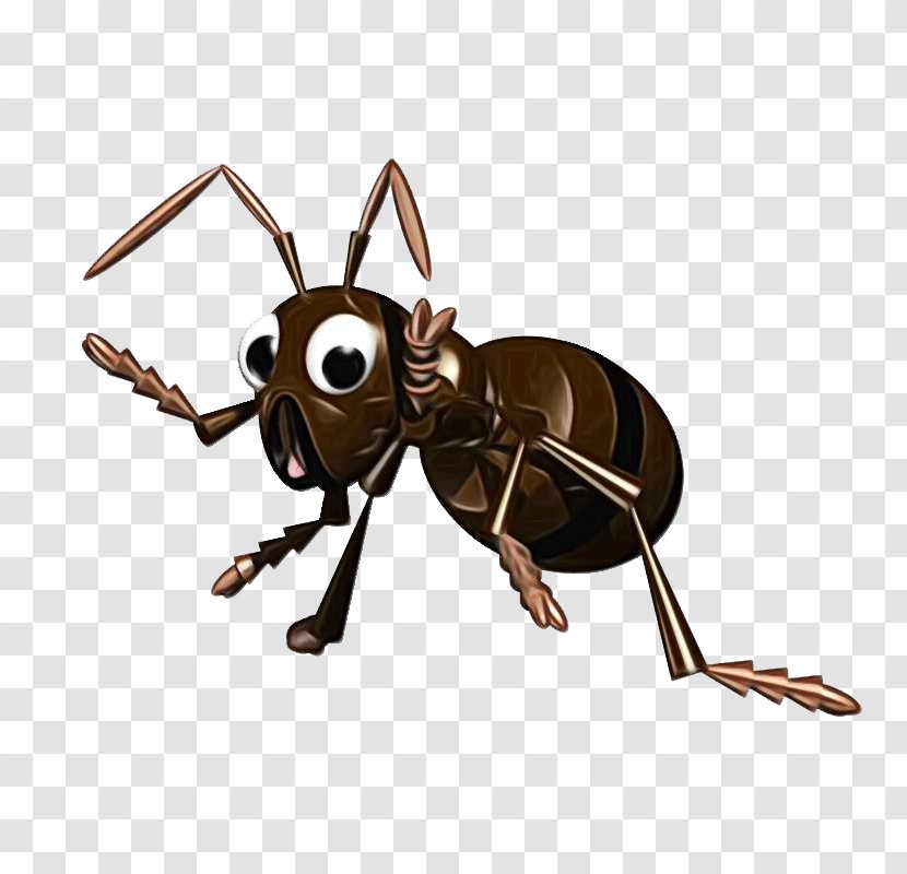 Fire Cartoon - Black Garden Ant - Hornet Wasp Transparent PNG