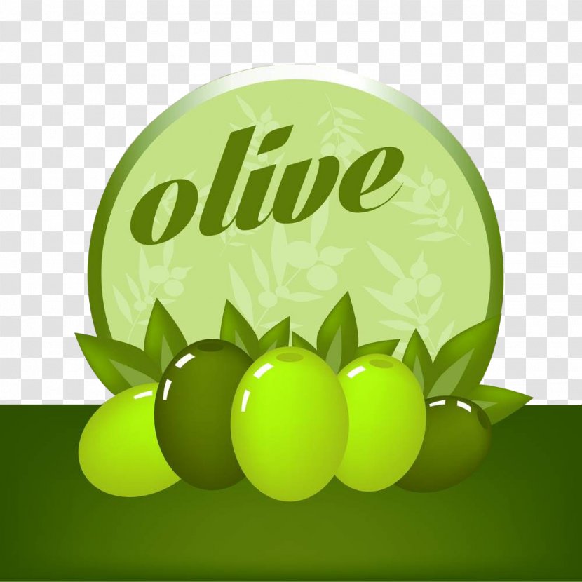 Olive Drawing Photography Illustration - Logo - Download Transparent PNG