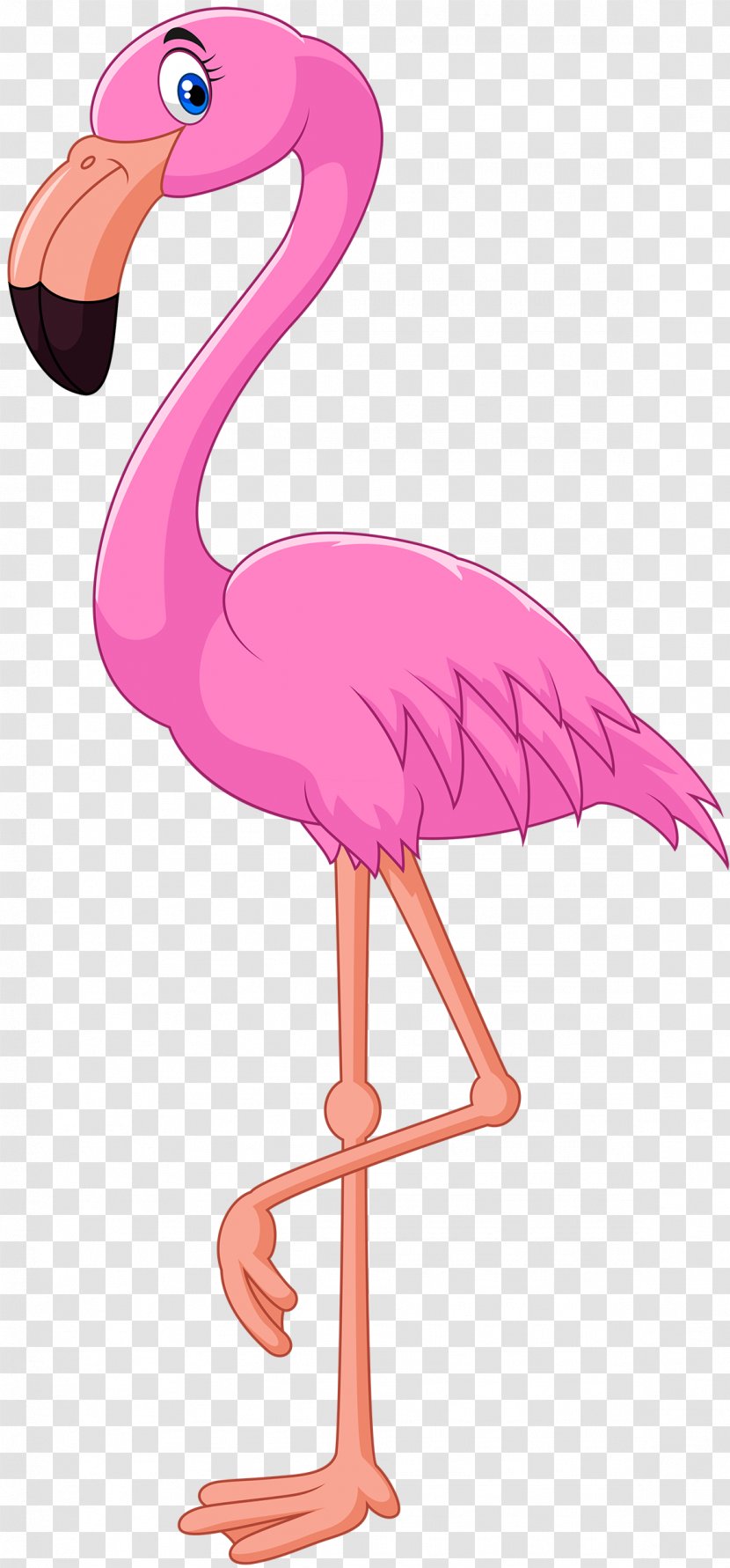 Cartoon Flamingo Bird Illustration Transparent PNG