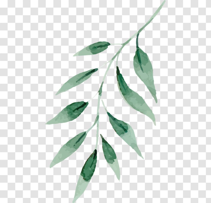 Watercolor Painting Vector Graphics Leaf Green - Tree Transparent PNG