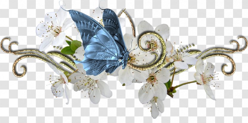 Blog Diary LiveInternet Clip Art - Pollinator - Moths And Butterflies Transparent PNG