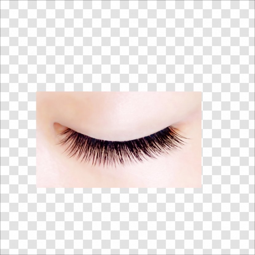Eyelash Extensions Beauty Eye Shadow Artificial Hair Integrations - Health Transparent PNG