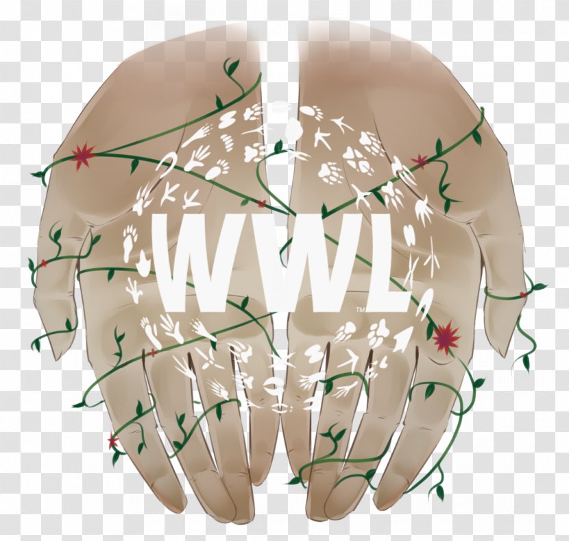 WWL-TV Graphic Design Logo Art - Wwltv - Beige Transparent PNG