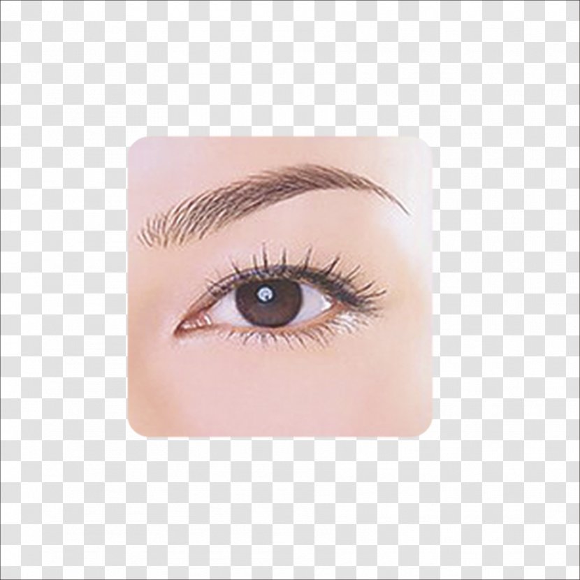 Eyebrow Make-up Face Drawing - Makeup Transparent PNG