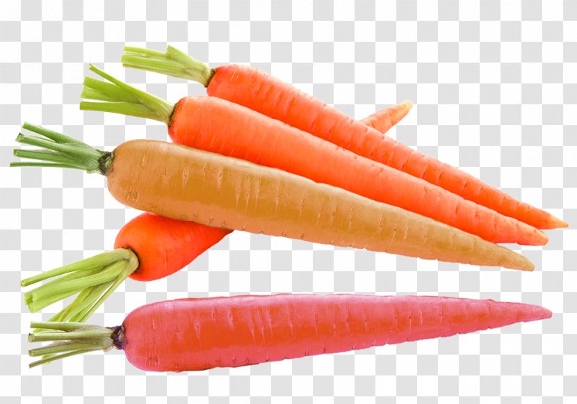 Korean Carrots Pea Soup Vegetable Clip Art - Carrot - Washed Material Transparent PNG