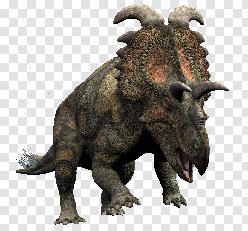 Albertaceratops Anchiceratops Tyrannosaurus Ceratopsia - Organism - Pentaceratops Transparent PNG