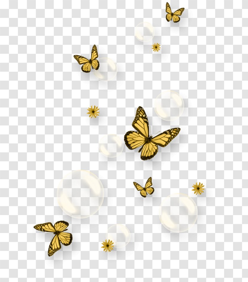 Butterfly Insect Earth Transparent PNG
