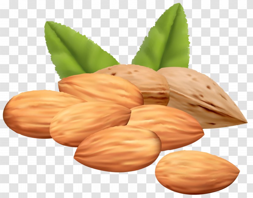 Nut Almond Clip Art - Mixed Nuts - Euclidean Transparent PNG