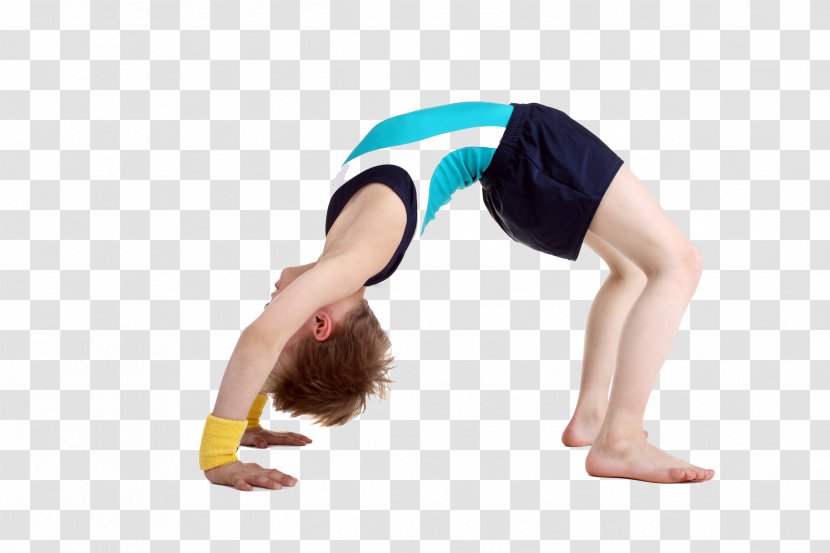 Gymnastics Child Cheerleading Tumbling Handstand - Tree Transparent PNG