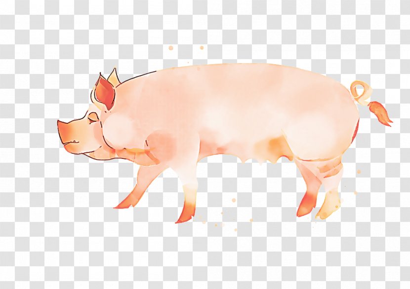 Pig Cartoon - Animal Figure Boar Transparent PNG
