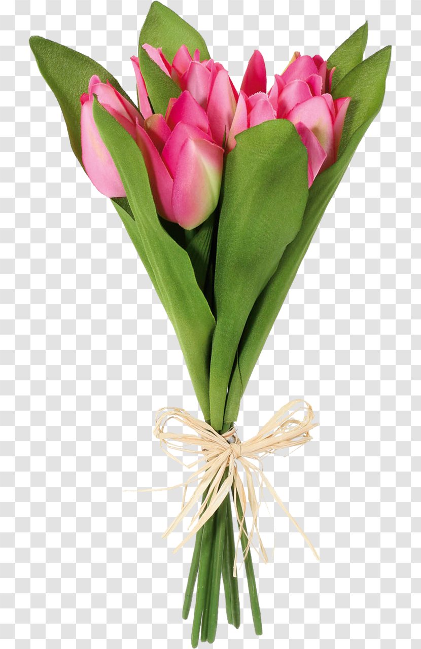 Flower Green Tulip - Plant - Bouquet Transparent PNG