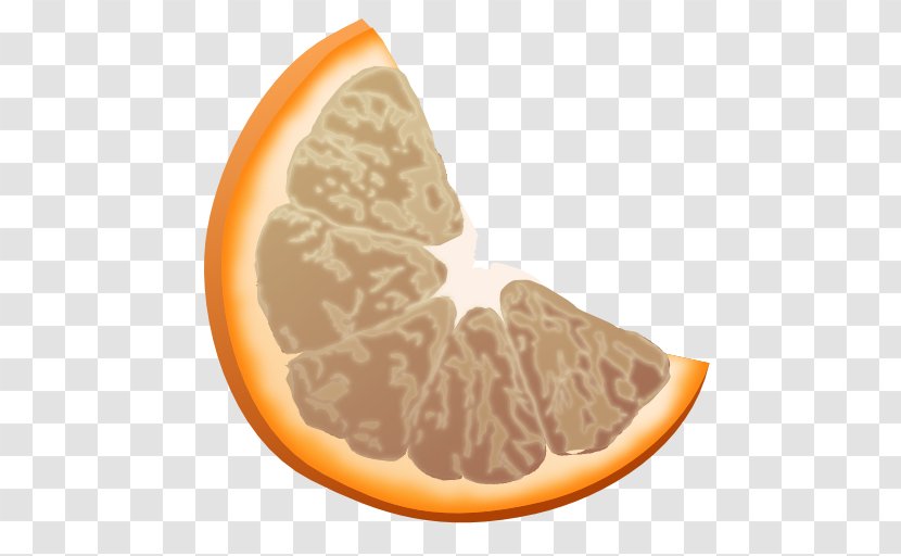 Peach Food Grapefruit - Computer Software - Apps Clementine Panel Grey Transparent PNG