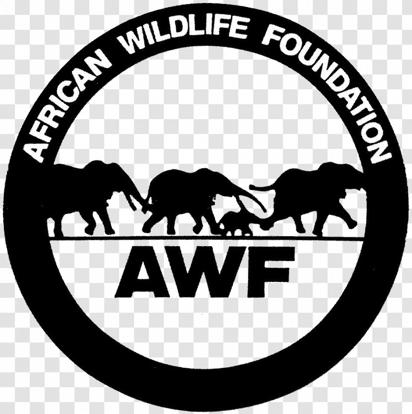 African Wildlife Foundation World Wide Fund For Nature Kenya National Federation - Africa - Ground Floor Transparent PNG