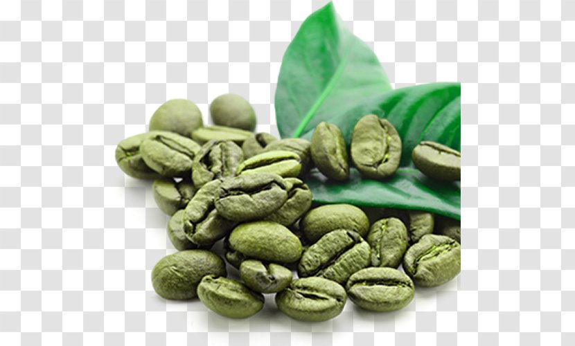 Instant Coffee Green Tea Extract Bean - Nuts Seeds Transparent PNG