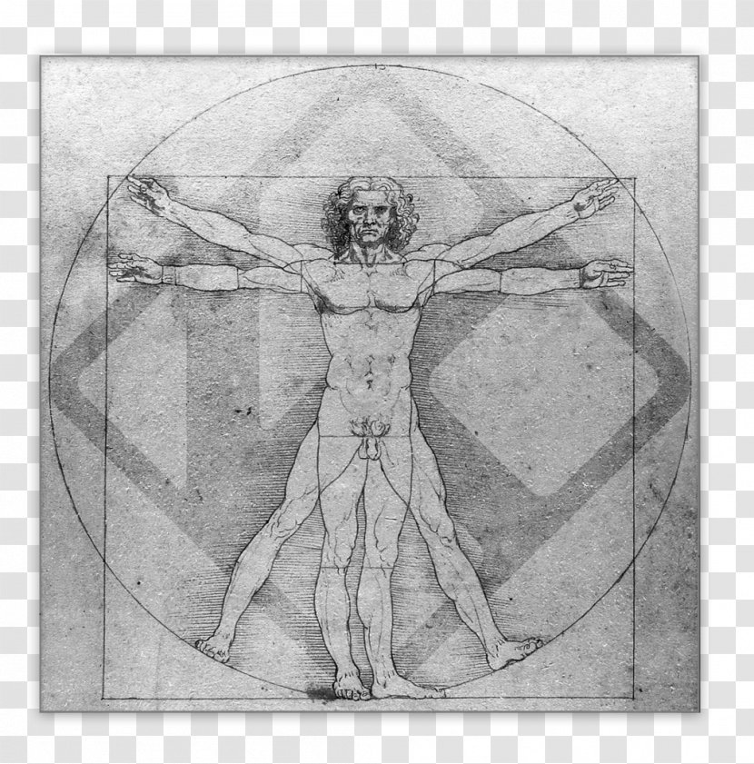 Vitruvian Man Italian Renaissance Polymath Leonardo Da Vinci: Sketches & Drawings - Stock Photography - Painting Transparent PNG