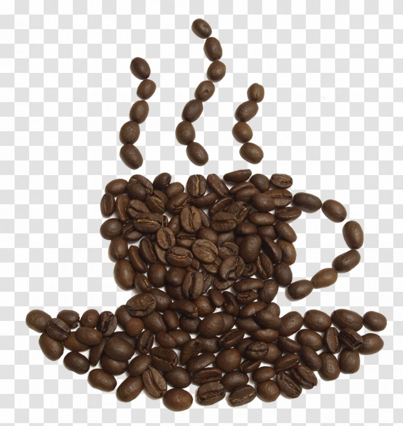 Coffee Bean Tea Latte Cafe - Mug Transparent PNG