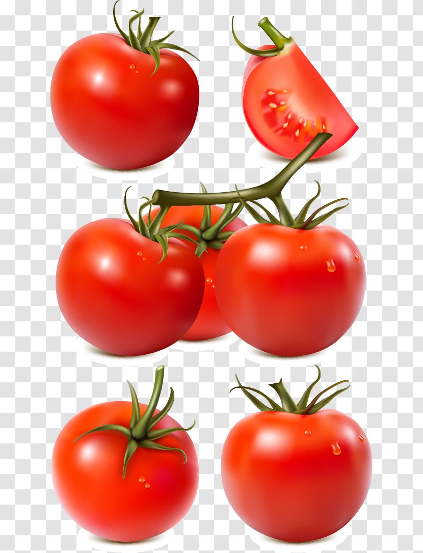 Tomato Sauce Vegetable Paste Transparent PNG
