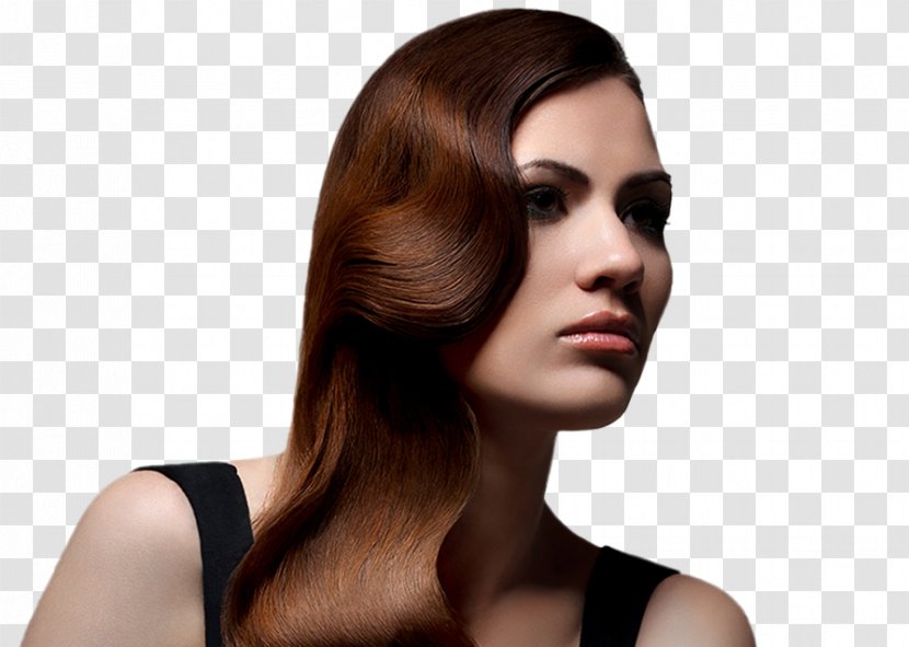 Long Hair Coloring Beauty Scalp Transparent PNG